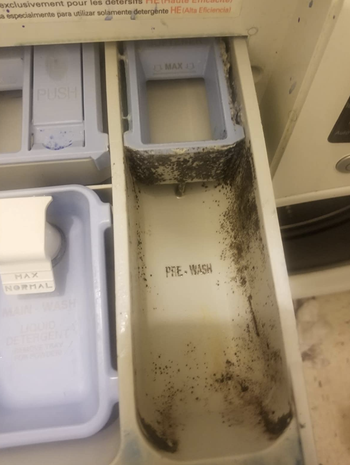 reviewers washing machine detergent pocket looking dirty 