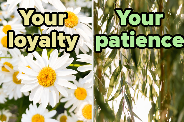 Build Your Own Cottagecore Garden And We'll Reveal What Quality Everyone Loves About You