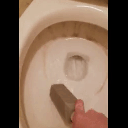 gif of reviewer removing hard water lines from toilet with the pumie
