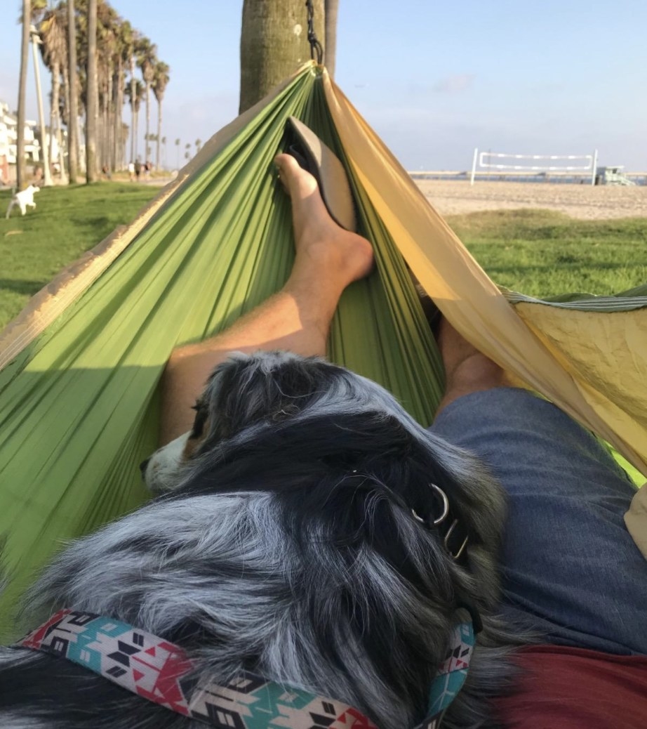 A person lounging on a hammock with a dog