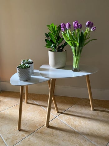 two white tables holding a reviewer's plants