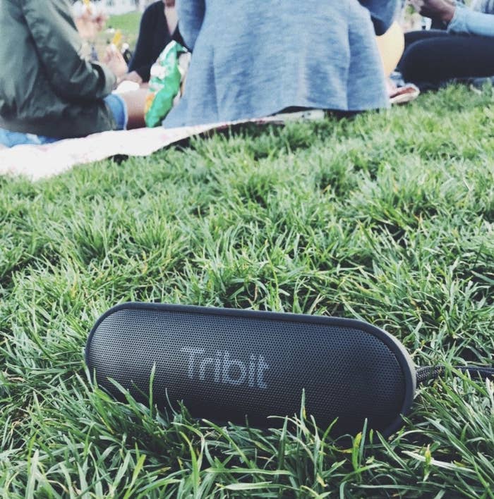 A customer review photo of the speaker in some grass