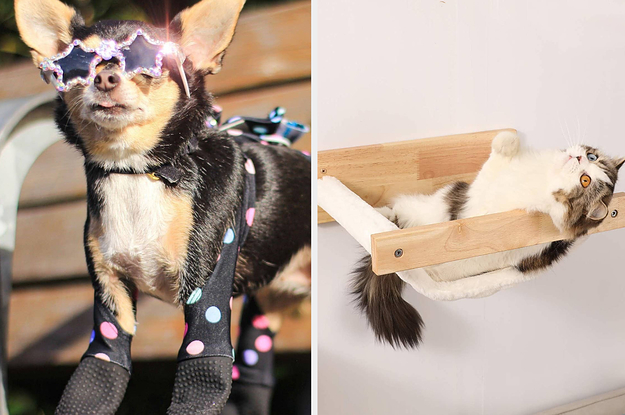 30 Clever Pet Products That'll Probably Make A Huge Difference To Your Weekly Routine