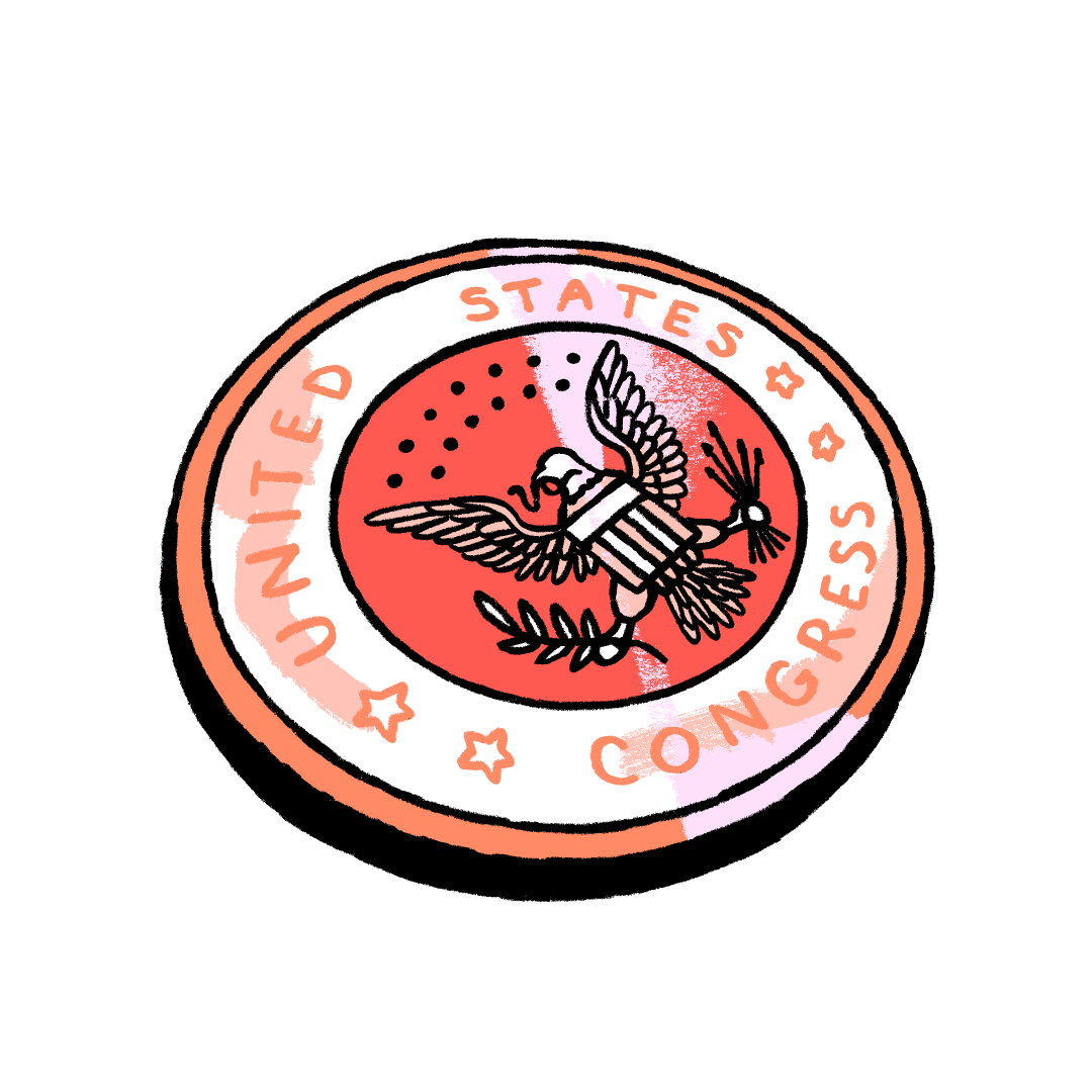 Illustration of a US Congressional pin