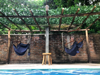 Faux vines placed on simple wood frame to make pool awning 