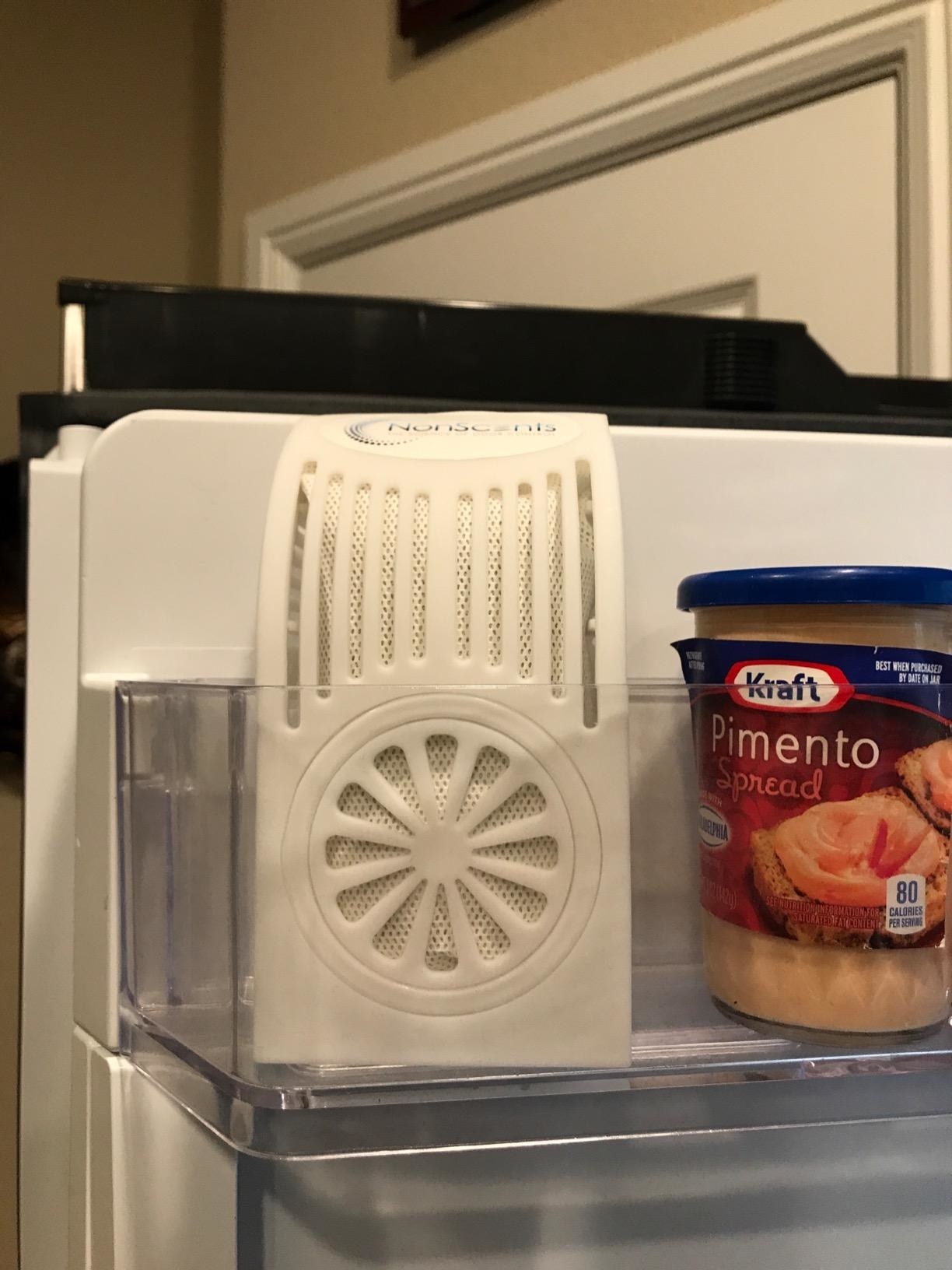 Reviewer&#x27;s fridge with deodorizer placed on shelf