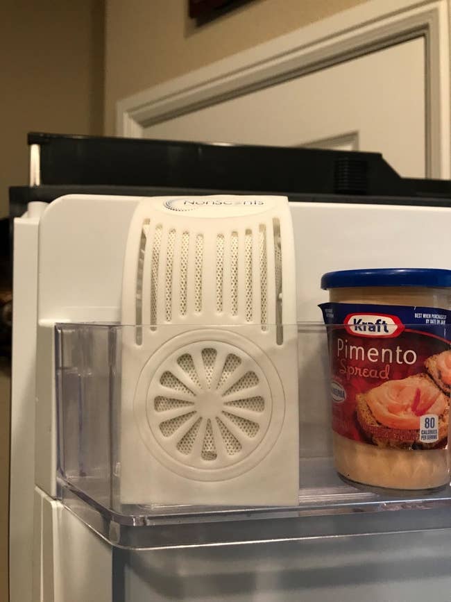 Reviewer's fridge with deodorizer placed on shelf