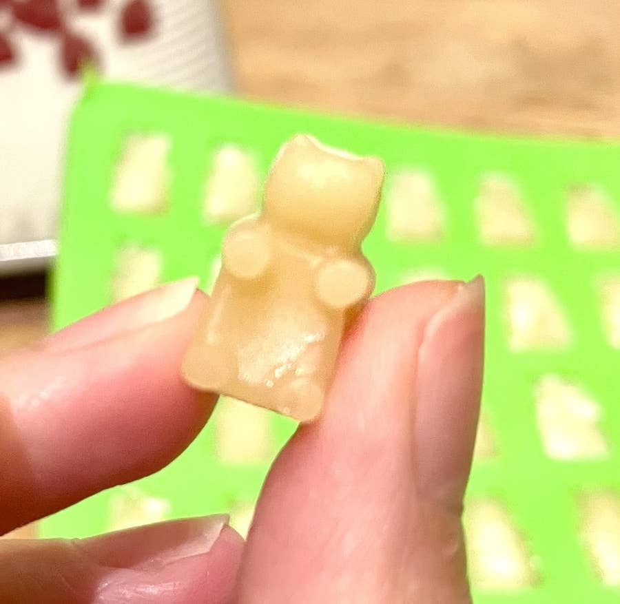 くまさんグミを1000個手作りしたから その軌跡をみてほしい くまさんグミを1000個手作りしたから その軌跡をみてほしい