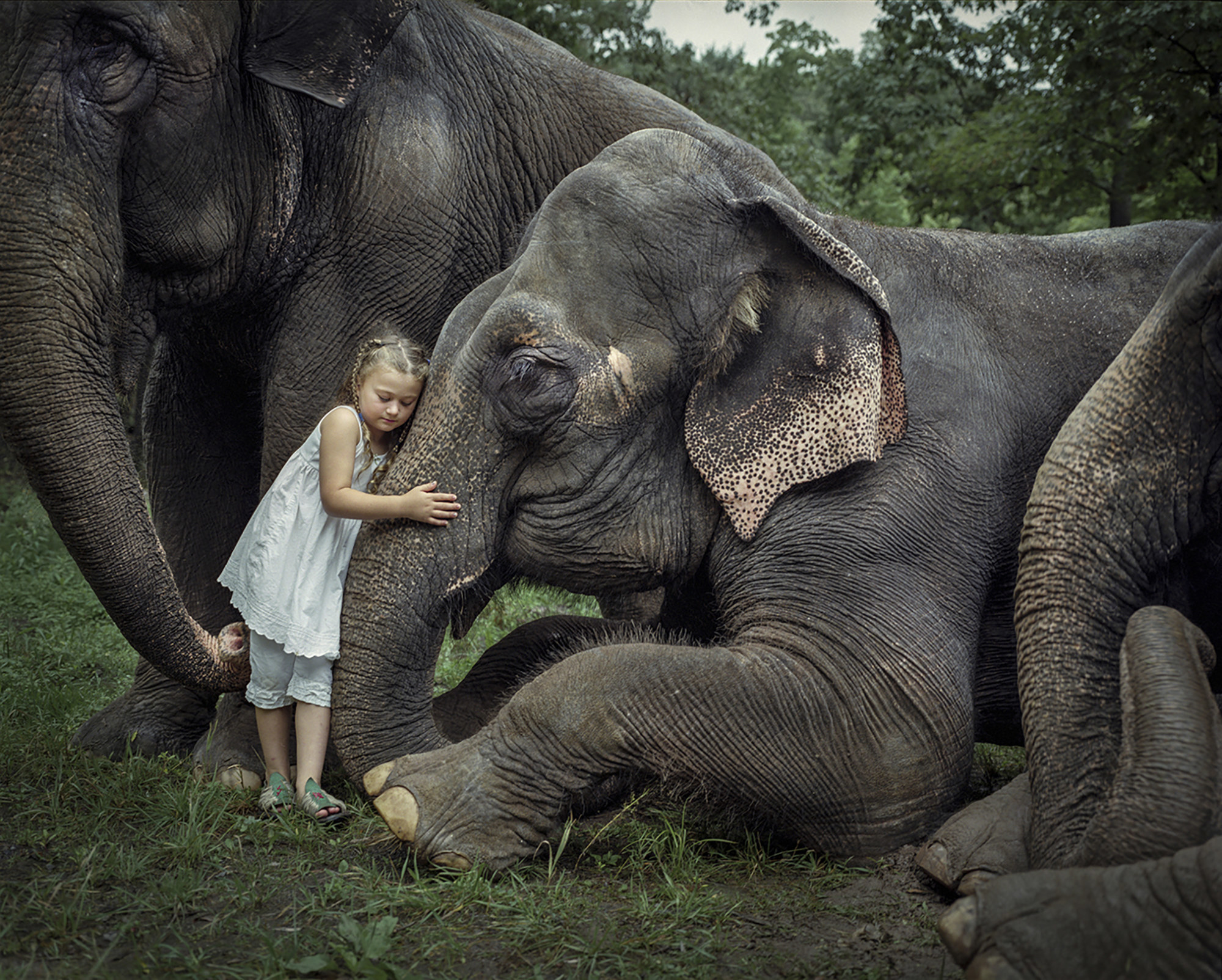 A young girl hugs the trunk of an elephant