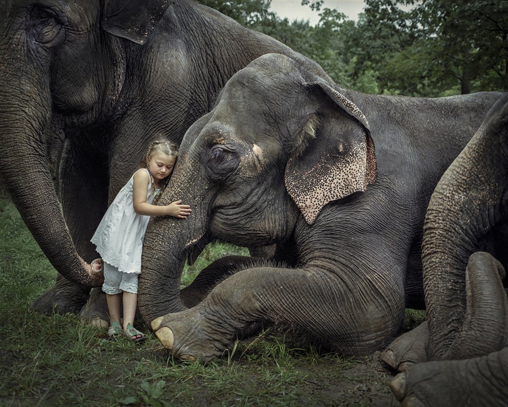 Photographer Captures Daughter Growing Up With Animals