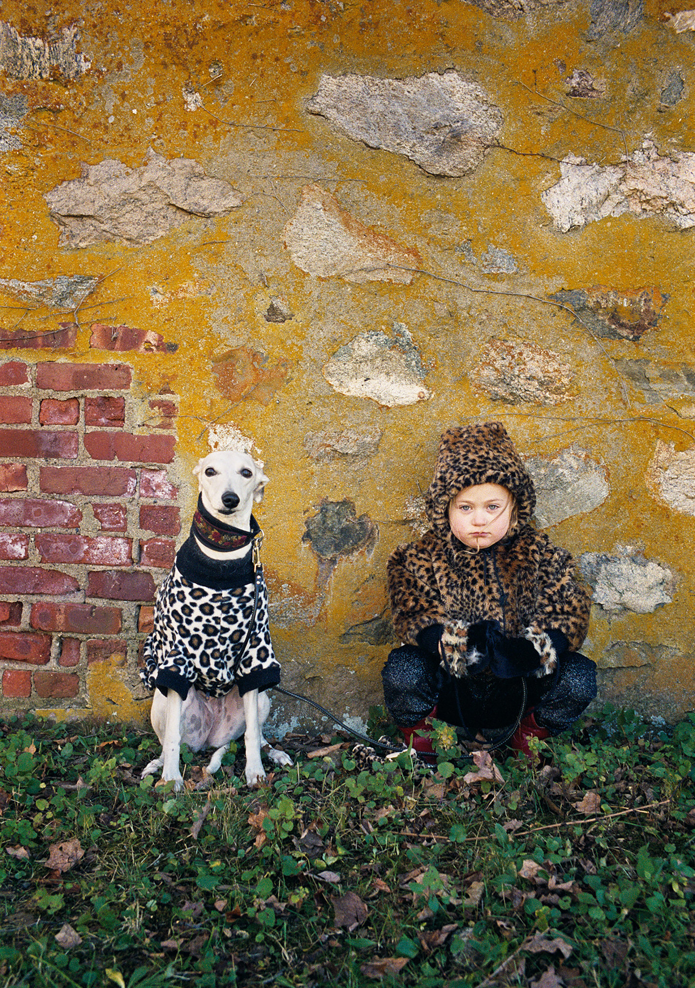 A young girl wearing a cheetah print sweater sits beside a greyhound