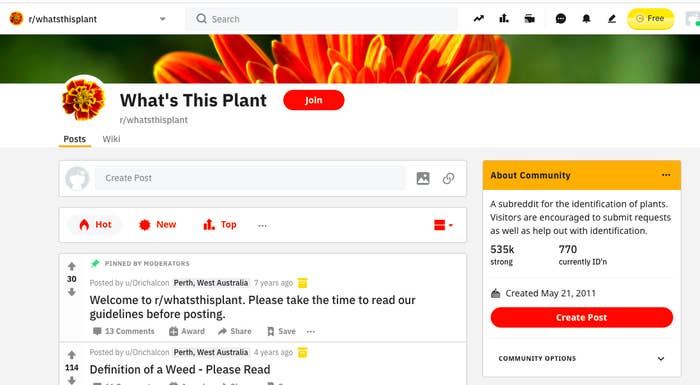 screenshot of the subreddit homepage