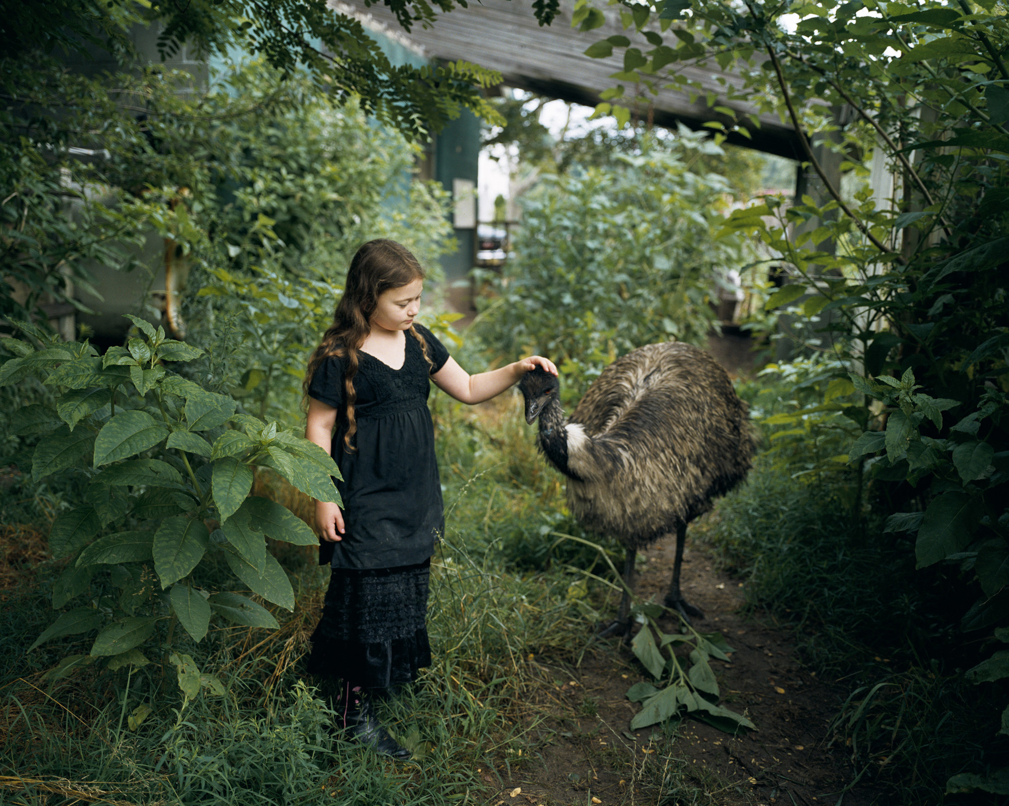 A young girl and an emu stand in a garden