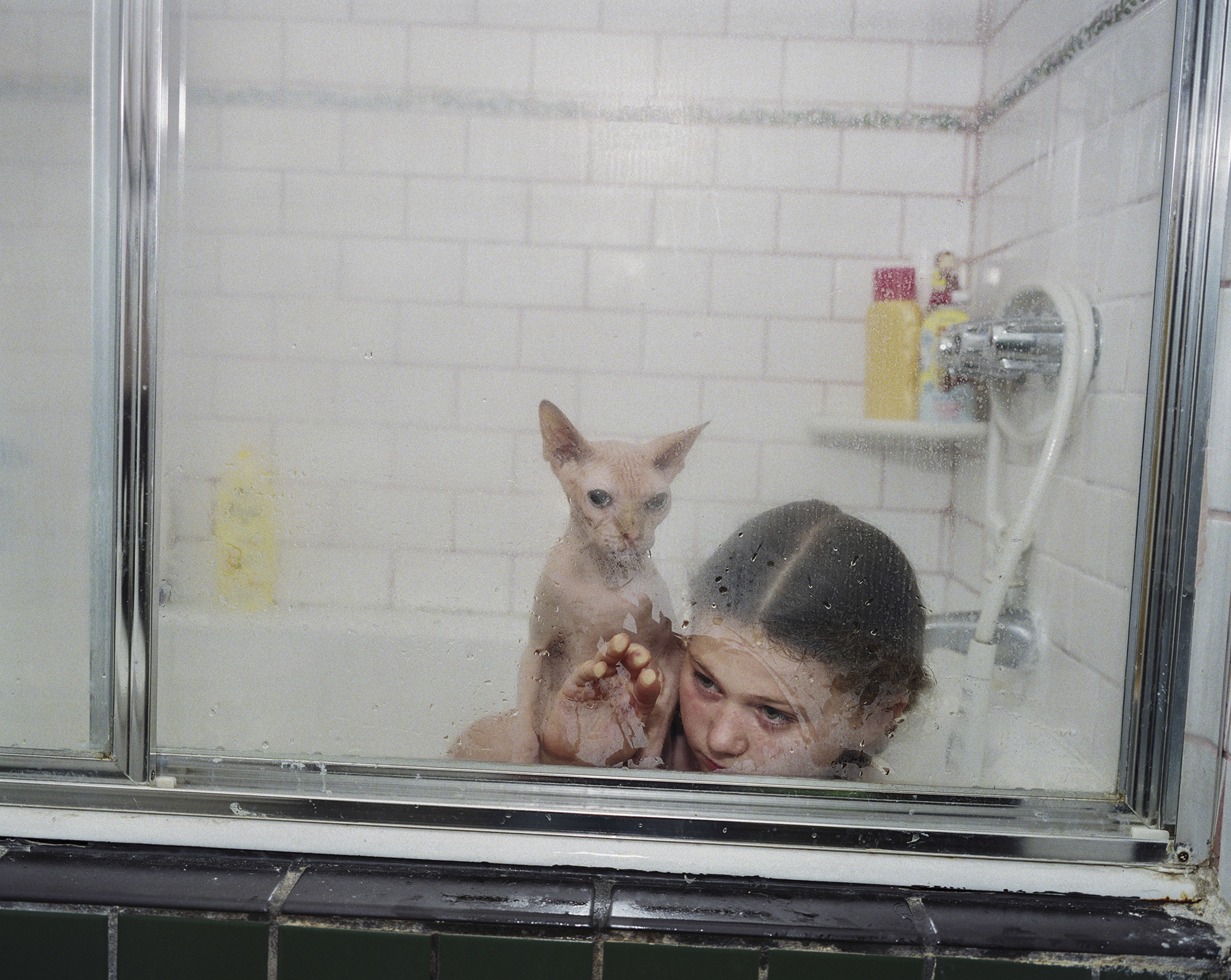 The photographer&#x27;s daughter Amelia with a sphynx cat in the shower