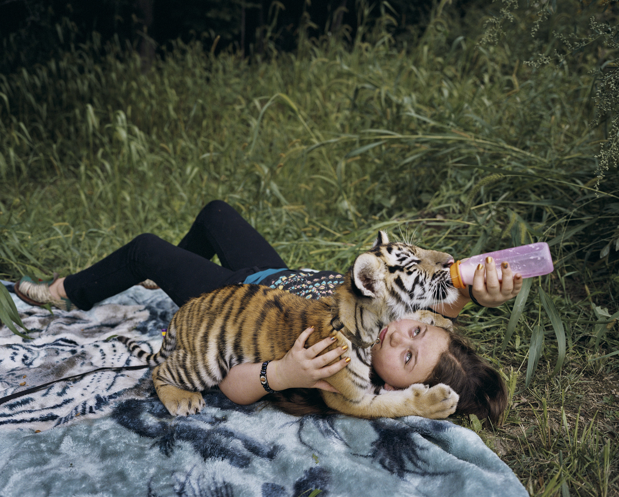 Amelia and a baby tiger lie on a blanket as she gives the animal a drink from a baby bottle