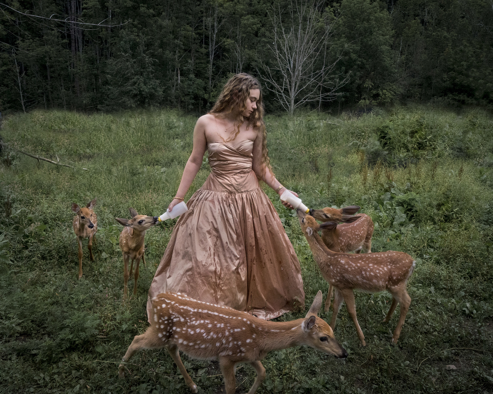 A young woman bottle feeds a group of deer