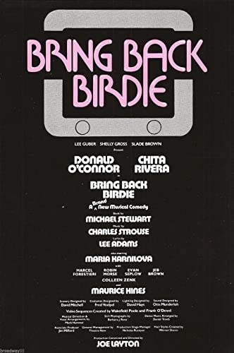 poster for Bring Back Birdie