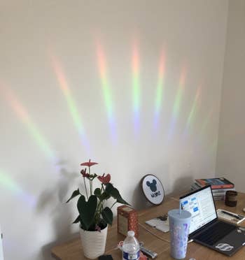 buzzfeed editor's desk surrounded by a rainbow
