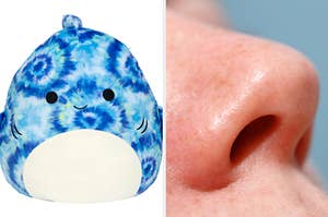 On the left, Luther the shark Squishmallow, and on the right, a closeup of a nose
