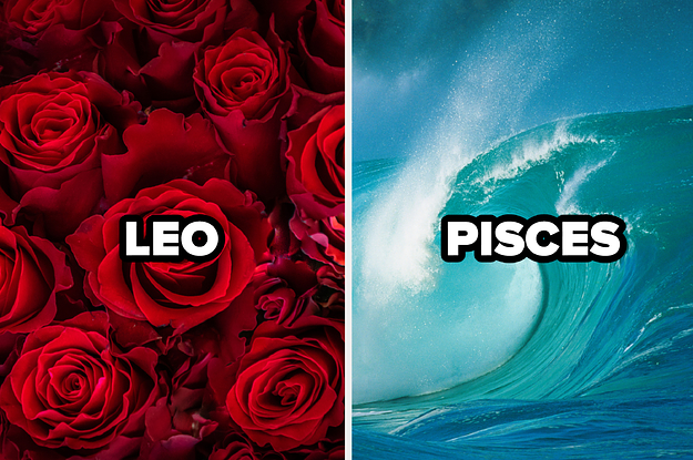 leo with red roses and pisces with ocean wave