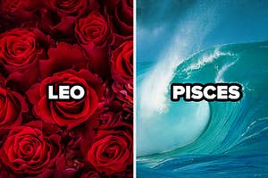 leo with red roses and pisces with ocean wave 
