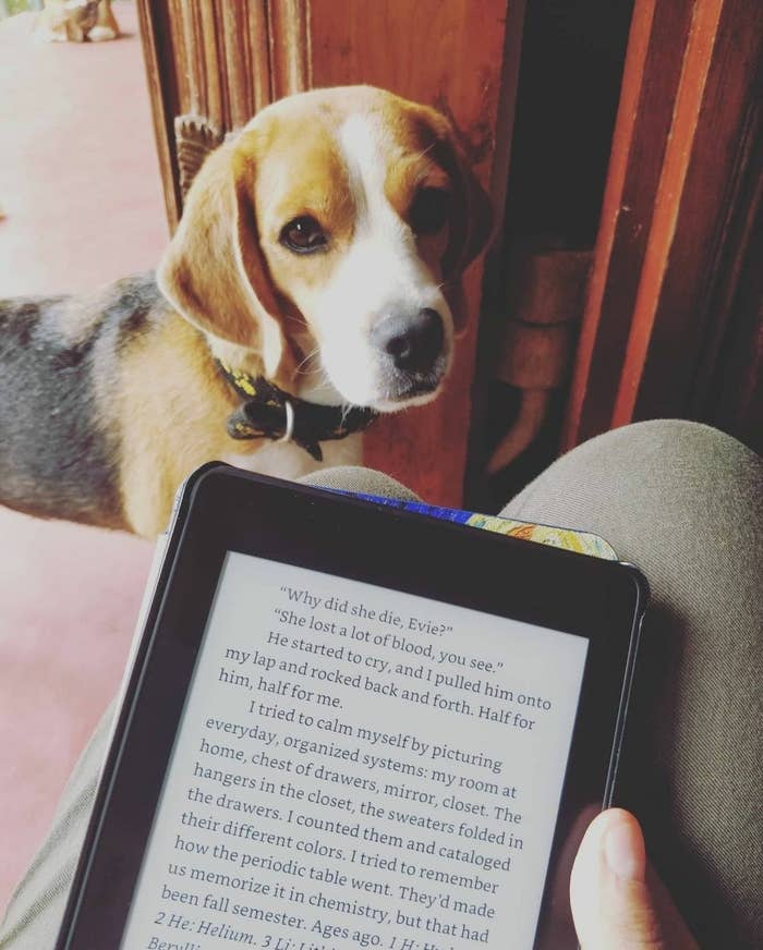 A person holding the Kindle. There&#x27;s a beagle in the background.