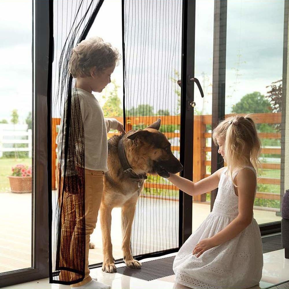 A dog and two children standing in a doorway with the screen net installed.