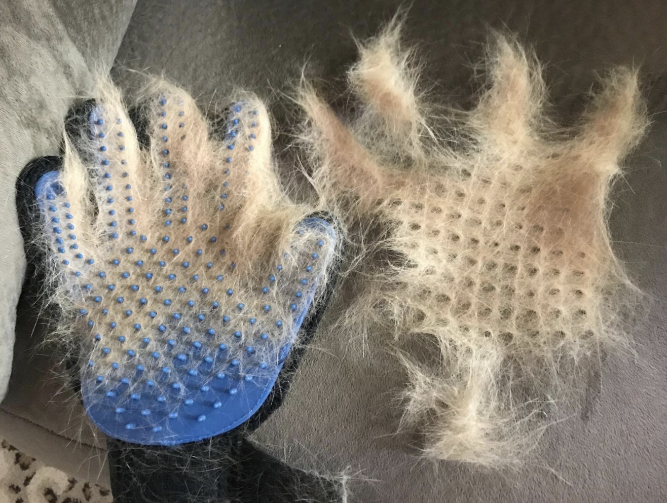 The grooming glove with a bunch of pet fur on it
