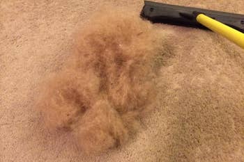 reviewer showing a big blonde fur ball on a carpet next to a squeegee brush