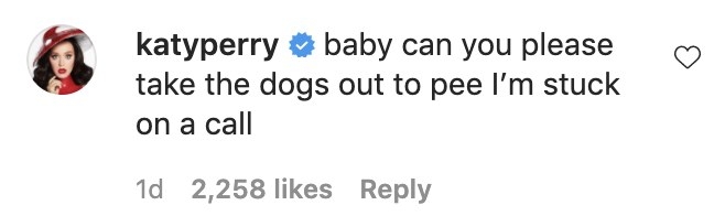 A screenshot of Katy&#x27;s comment