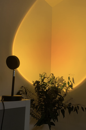 Reviewer's lamp casts a warm orange light onto the corner wall of a room