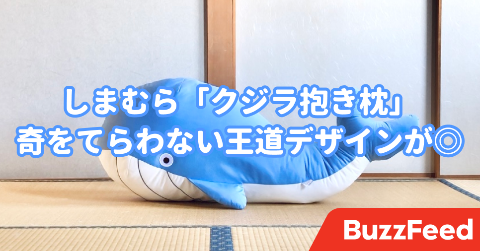 ずっと抱えてたい しまむらで見つけた くじら抱き枕 が可愛すぎて手放せない ずっと抱えてたい しまむらで見つけた くじら抱き枕 が可愛すぎて手放せない