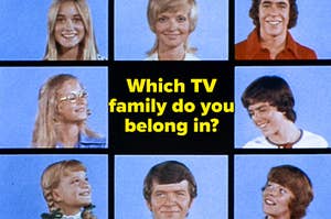 The Brady Bunch is shown with an empty square labeled, "Which TV family do you belong in?"