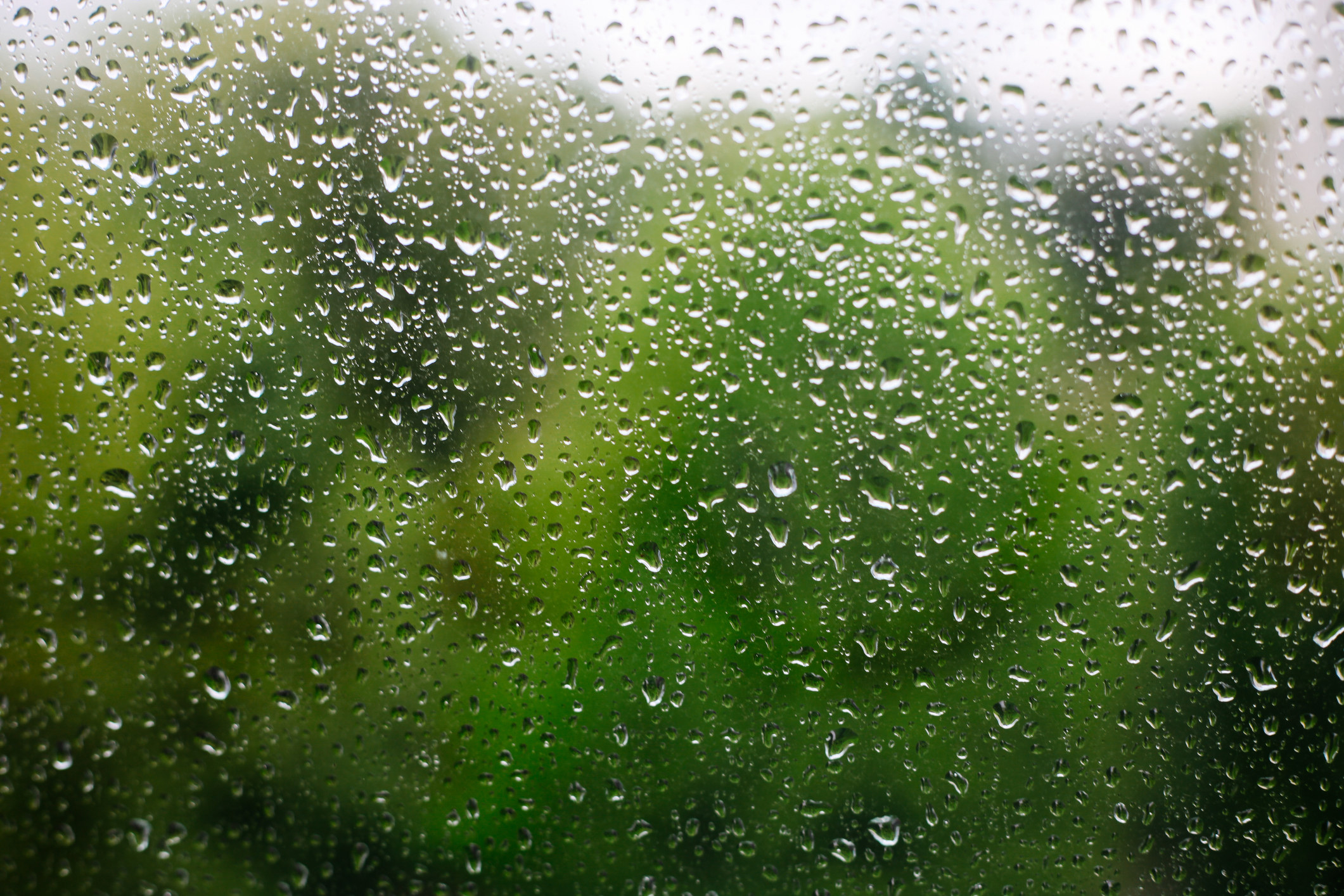 rain drops on a window 