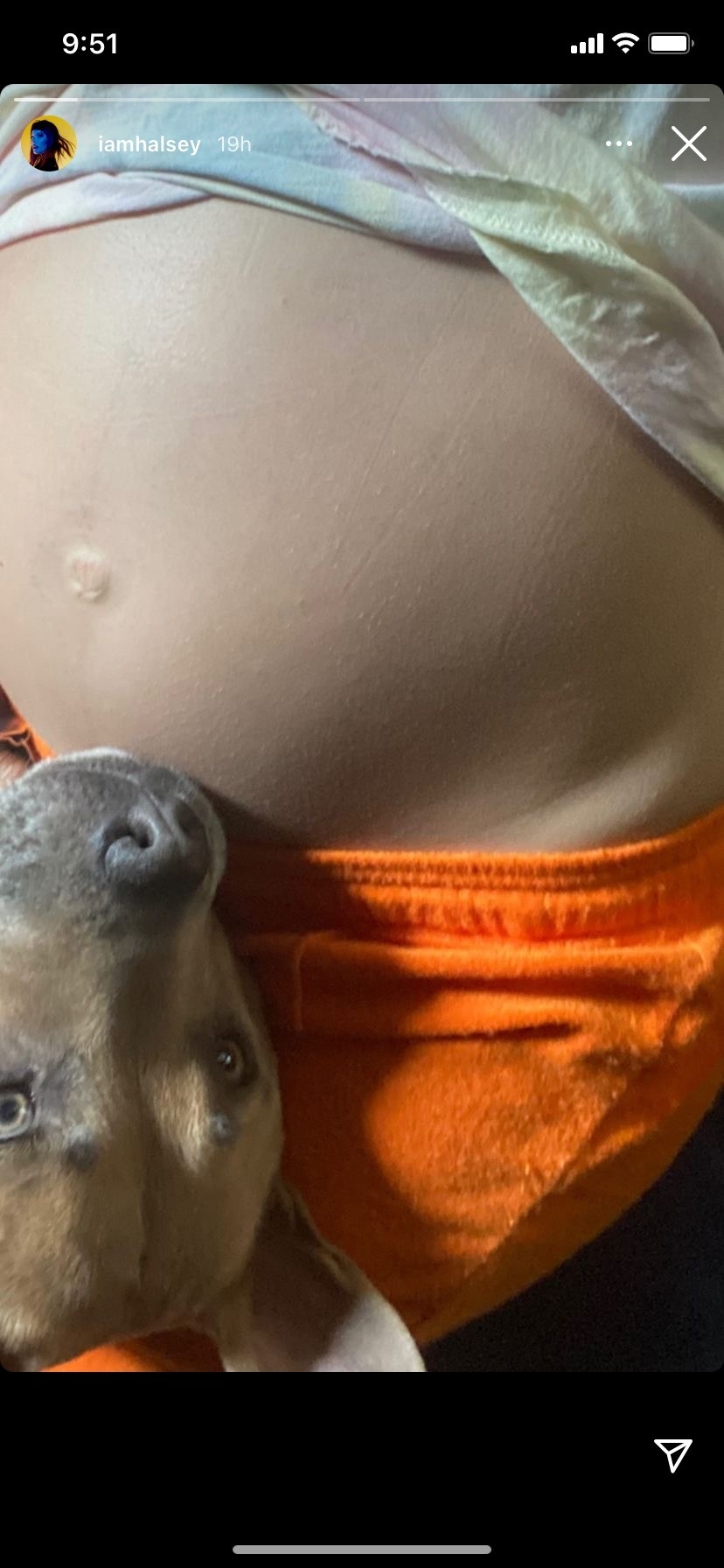Halsey&#x27;s bare baby bump with their dog peeking his head into the photo