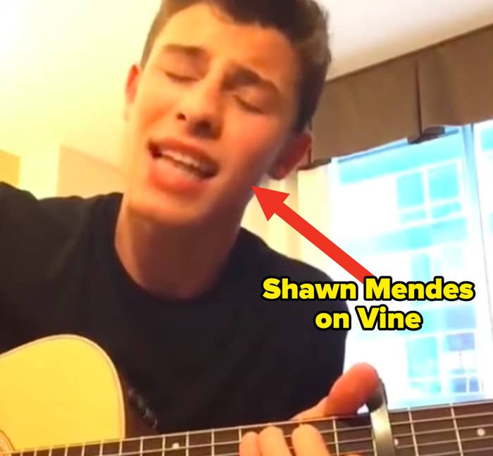 Choose Your Favorite Vines Choose Your Favorite Vines