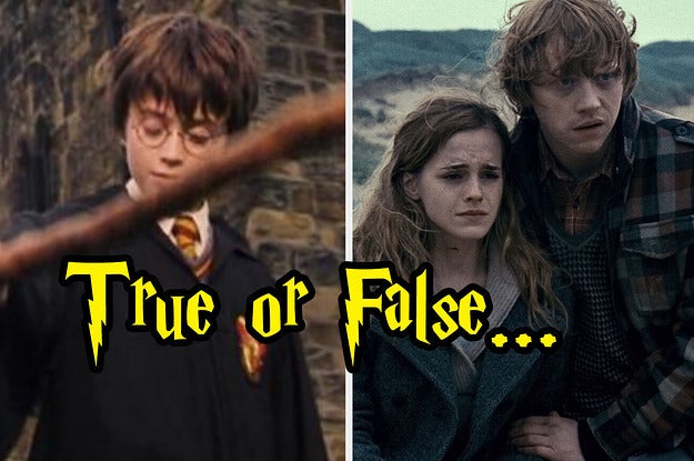 Only A Muggle Would Fail This