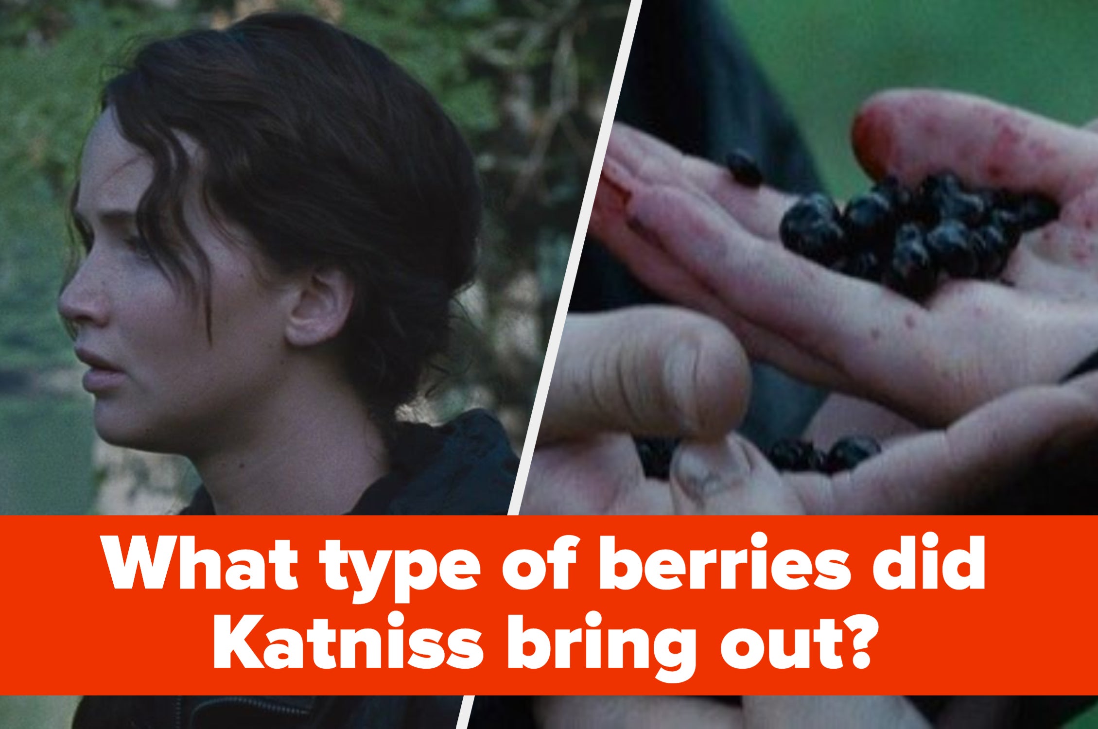 Hunger Games" Trivia Quiz