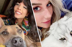 https www buzzfeed com animals