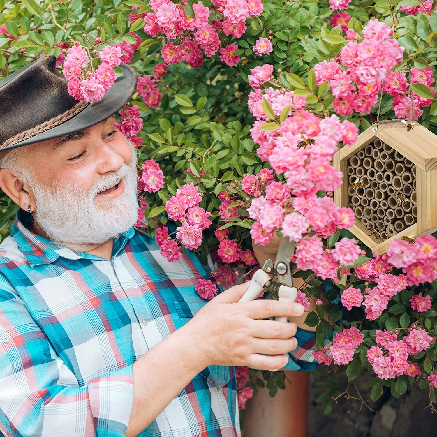 A man gardening next to the bee hive