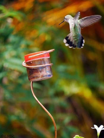 a hummingbird flying towards the feeder sticking out of a flower pot 