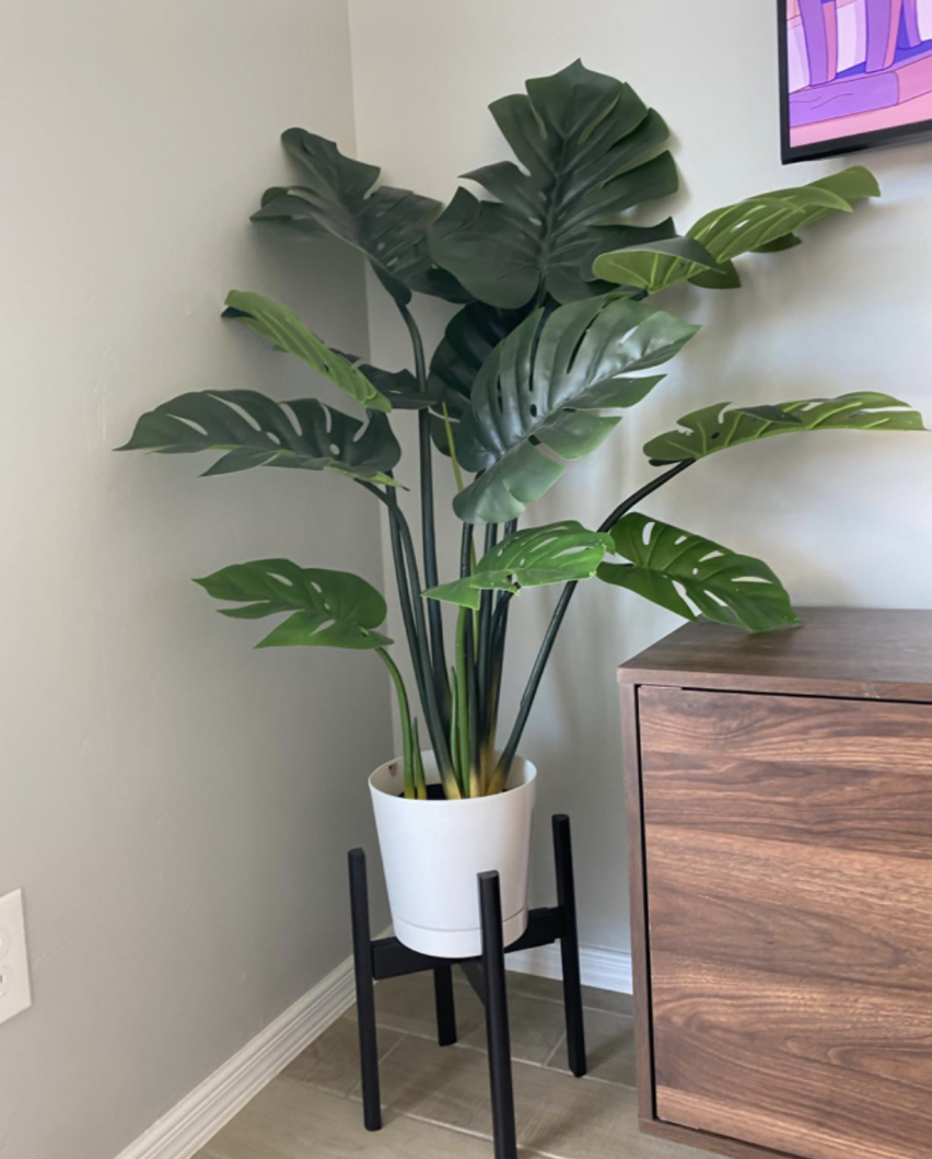 Reviewer&#x27;s artificial plant shows how tall it is