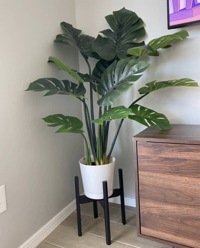 Reviewer&#x27;s artificial plant on stand next to table
