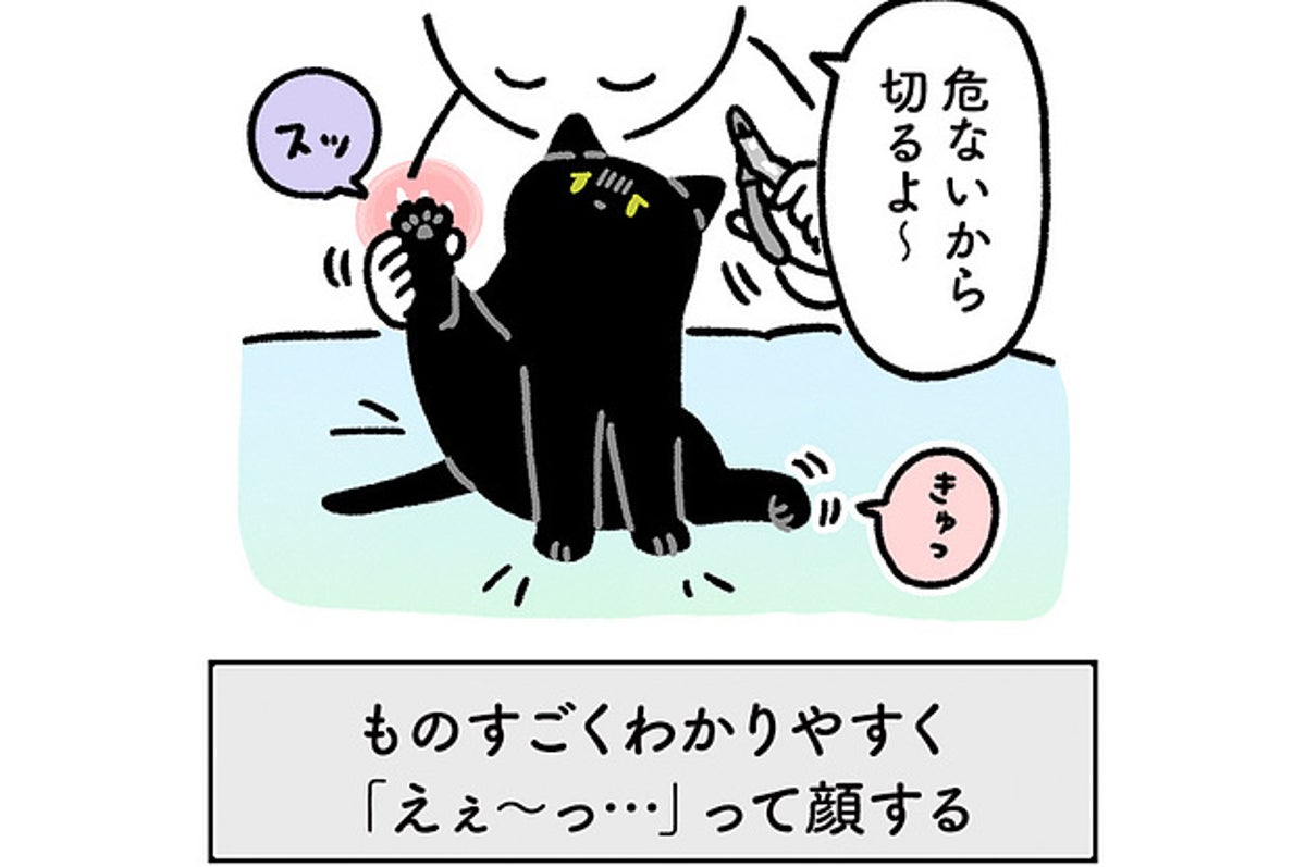 想像と違った 猫が後ろ足の爪をハムハムする謎がやっと解けました