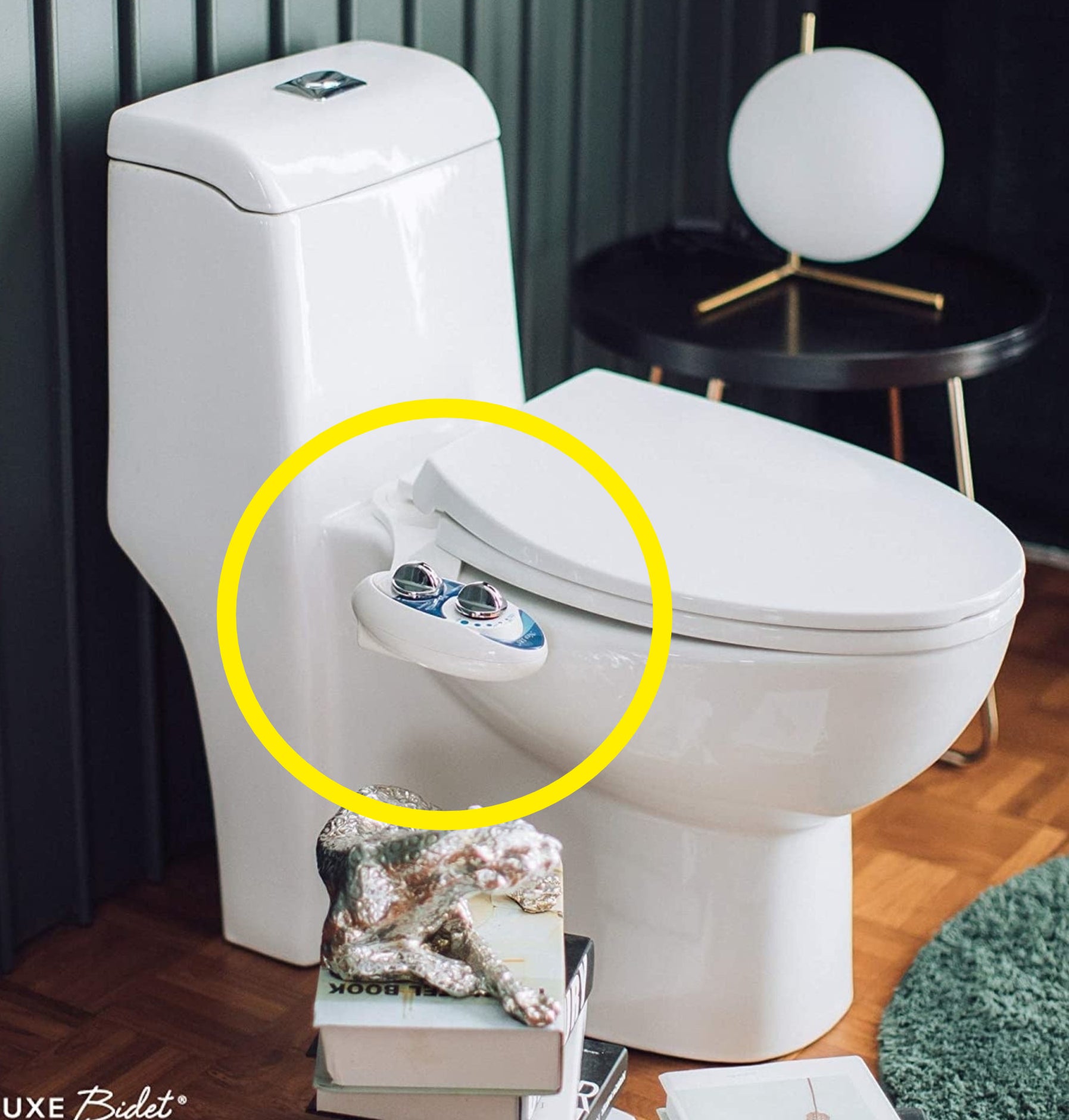 The bidet attachement on a toilet