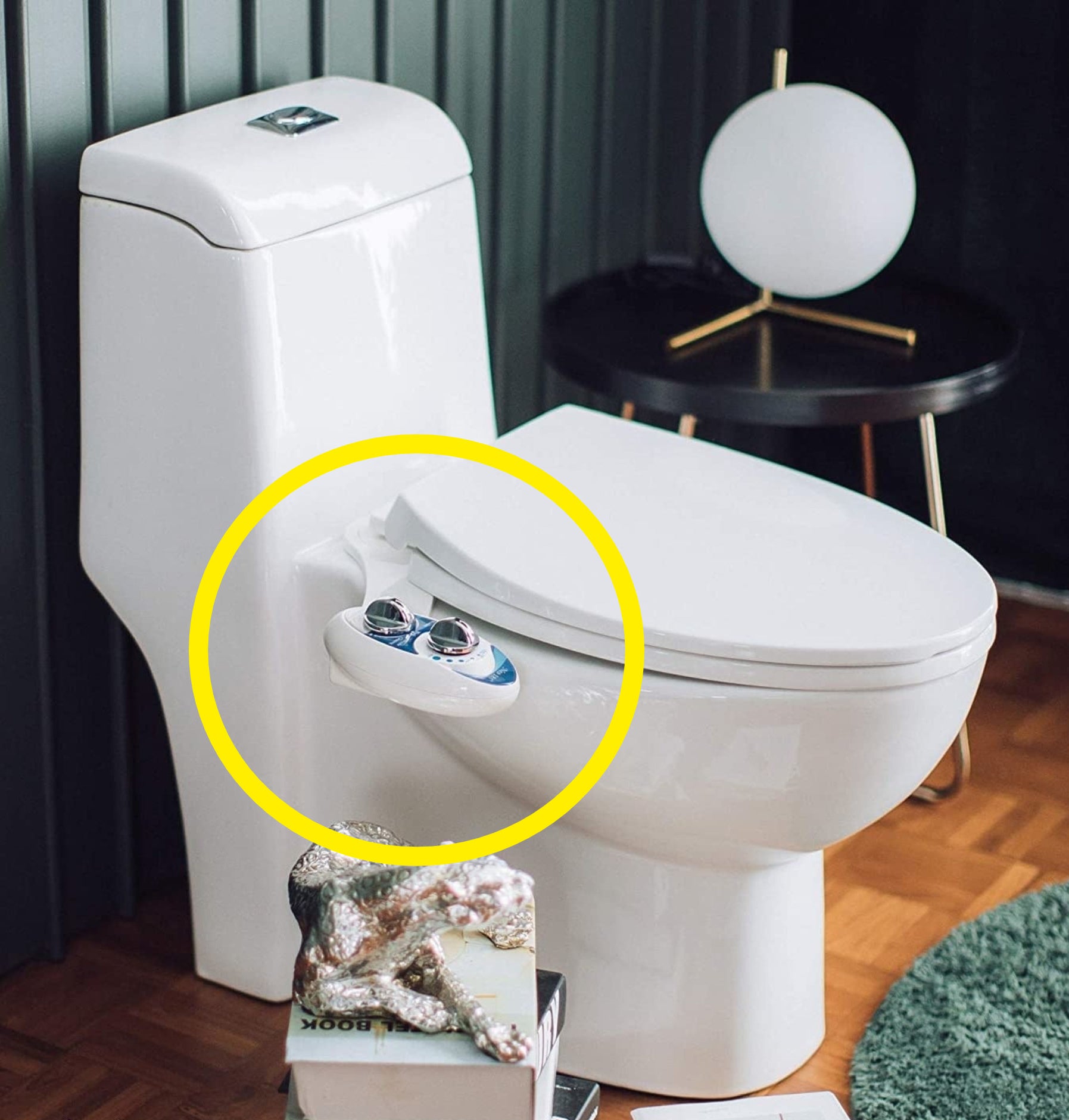 The bidet attachement on a toilet