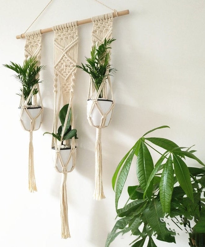 three plants hanging in a macrame wall hanging 