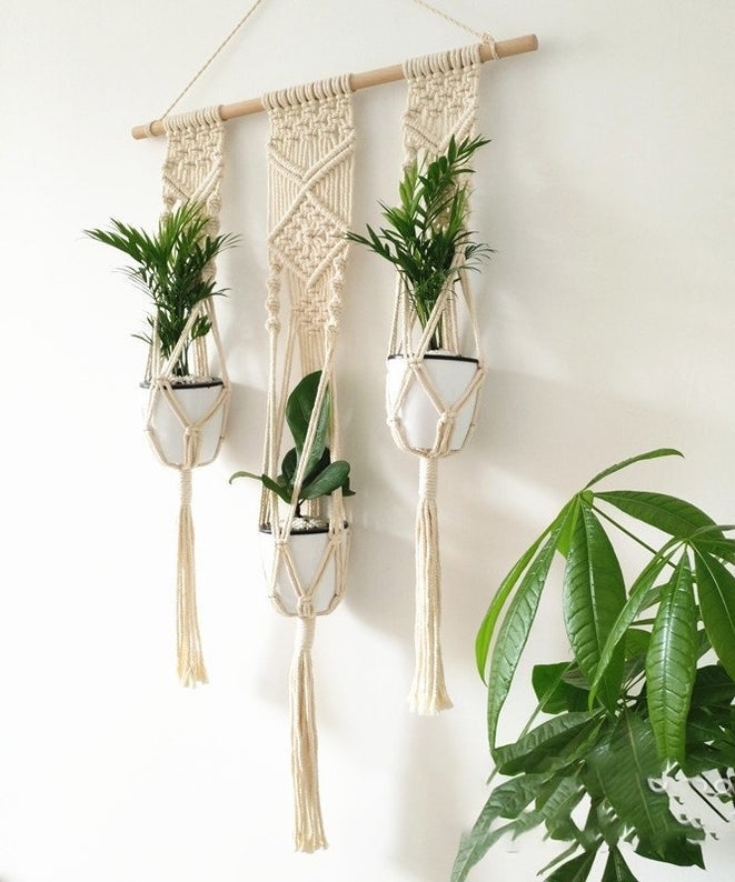 three plants hanging in a macrame wall hanging