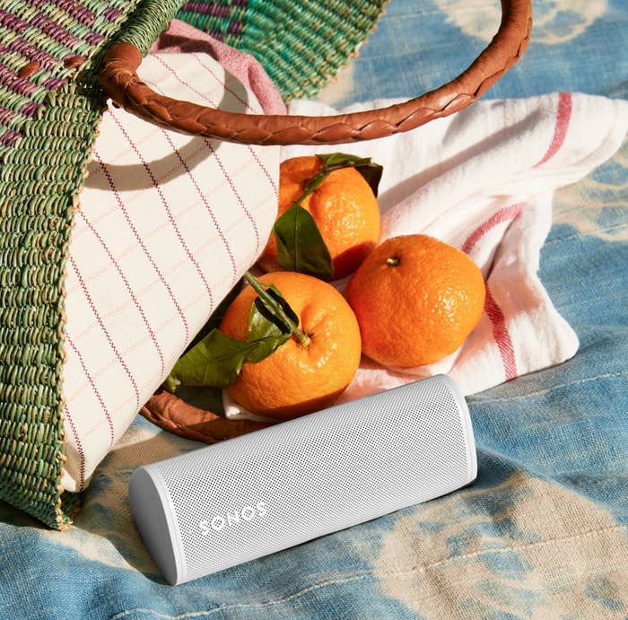 White triangular-shaped Sonos speaker on a picnic cloth