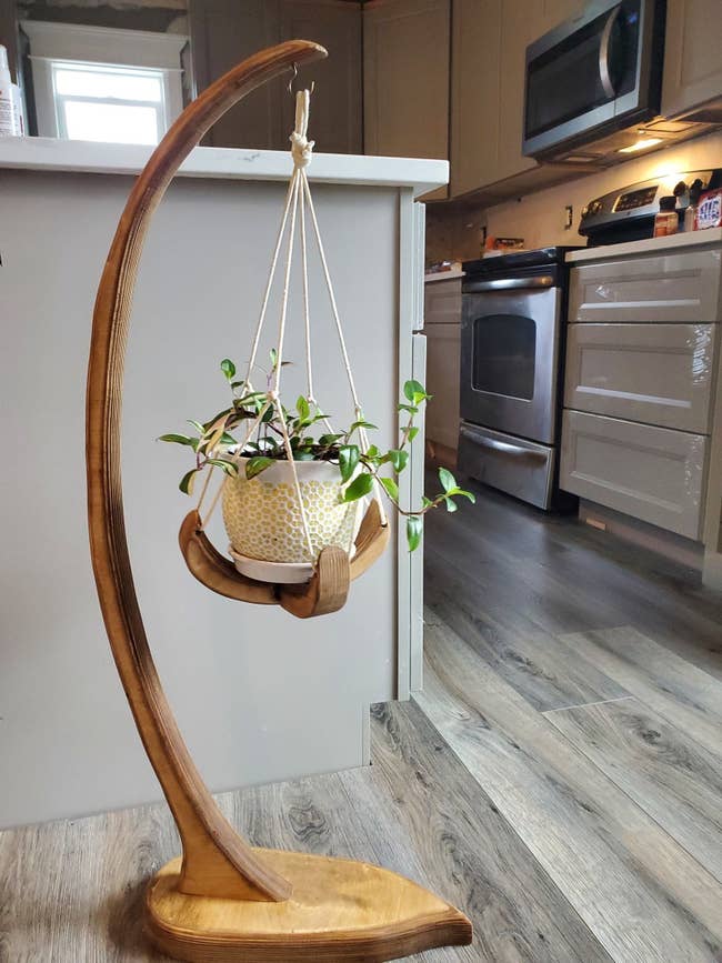 wooden plant stand that curves up and has a hanging vessel to put to put a plant in at the tip of the top